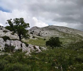 Supramonte di Oliena