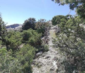 Supramonte di Oliena