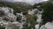 Escursione e visita guidata alla vallata di Lanaitho, in territorio di Oliena
