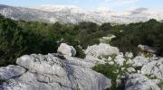 Escursione a Tiscali valle di Lanaitho e Oliena