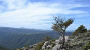 Supramonte di Orgosolo